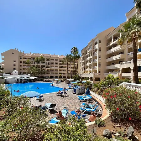 Cristianos With Sea Views C109